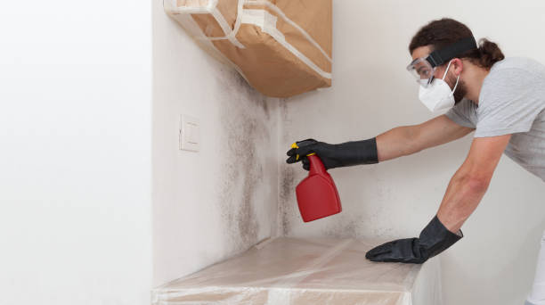 Professional Attic Mold Remediation technician working in Duluth, MN